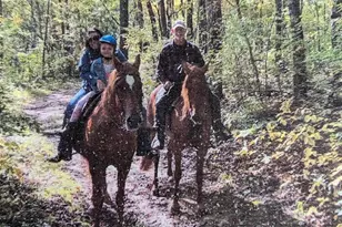 6604 Shower Rd, Mazomanie, WI 53560 - Photo 8