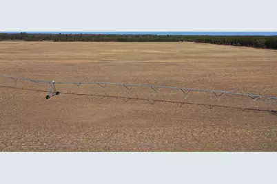 281.68 Acres Buttercup Ave &amp; 16th Avenue, Arkdale, WI 54613 - Photo 22