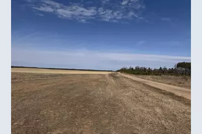 281.68 Acres Buttercup Ave &amp; 16th Avenue, Arkdale, WI 54613 - Photo 58