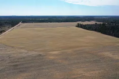 281.68 Acres Buttercup Ave &amp; 16th Avenue, Arkdale, WI 54613 - Photo 50