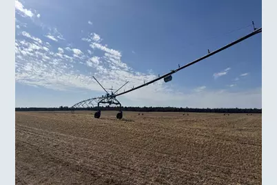 281.68 Acres Buttercup Ave &amp; 16th Avenue, Arkdale, WI 54613 - Photo 2