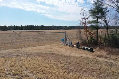 281.68 Acres Buttercup Ave &amp; 16th Avenue, Arkdale, WI 54613 - Photo 42