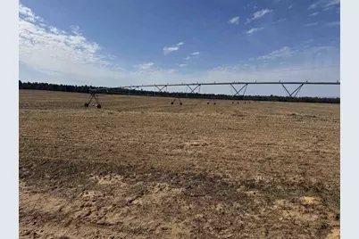 281.68 Acres Buttercup Ave &amp; 16th Avenue, Arkdale, WI 54613 - Photo 4