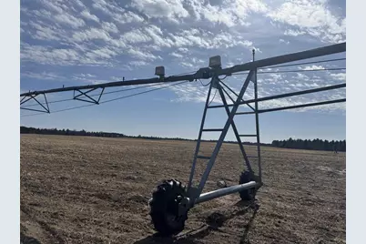 281.68 Acres Buttercup Ave &amp; 16th Avenue, Arkdale, WI 54613 - Photo 28