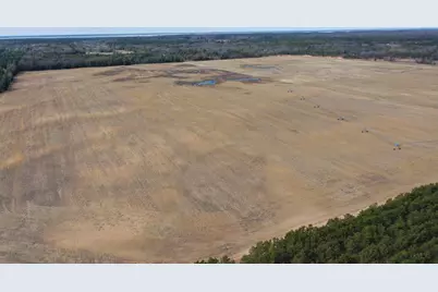 281.68 Acres Buttercup Ave &amp; 16th Avenue, Arkdale, WI 54613 - Photo 14