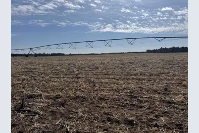 281.68 Acres Buttercup Ave &amp; 16th Avenue, Arkdale, WI 54613 - Photo 26