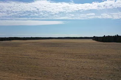 281.68 Acres Buttercup Ave &amp; 16th Avenue, Arkdale, WI 54613 - Photo 36