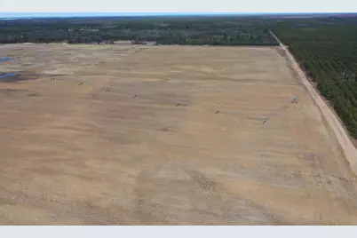 281.68 Acres Buttercup Ave &amp; 16th Avenue, Arkdale, WI 54613 - Photo 10