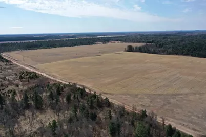 281.68 Acres Buttercup Ave &amp; 16th Avenue, Arkdale, WI 54613 - Photo 32