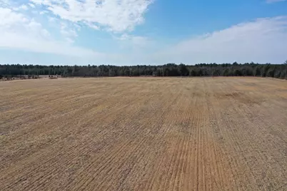 281.68 Acres Buttercup Ave &amp; 16th Avenue, Arkdale, WI 54613 - Photo 46