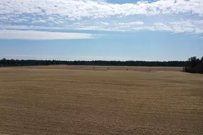 281.68 Acres Buttercup Ave &amp; 16th Avenue, Arkdale, WI 54613 - Photo 38