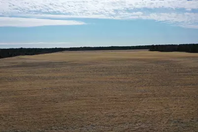 281.68 Acres Buttercup Ave &amp; 16th Avenue, Arkdale, WI 54613 - Photo 34