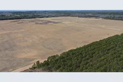 281.68 Acres Buttercup Ave &amp; 16th Avenue, Arkdale, WI 54613 - Photo 12