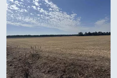 281.68 Acres Buttercup Ave &amp; 16th Avenue, Arkdale, WI 54613 - Photo 52