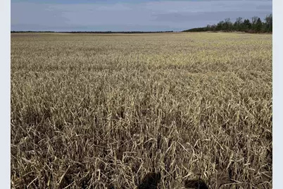 281.68 Acres Buttercup Ave &amp; 16th Avenue, Arkdale, WI 54613 - Photo 6