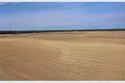 281.68 Acres Buttercup Ave &amp; 16th Avenue, Arkdale, WI 54613 - Photo 20