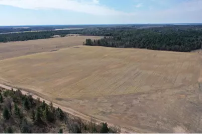 281.68 Acres Buttercup Ave &amp; 16th Avenue, Arkdale, WI 54613 - Photo 30