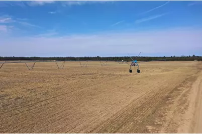 281.68 Acres Buttercup Ave &amp; 16th Avenue, Arkdale, WI 54613 - Photo 18