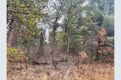 5.99 Ac State Road 13, Friendship, WI 53934 - Photo 6