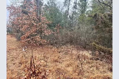 5.99 Ac State Road 13, Friendship, WI 53934 - Photo 2