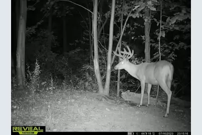 21881 Kale Road, Sparta, WI 54656 - Photo 66