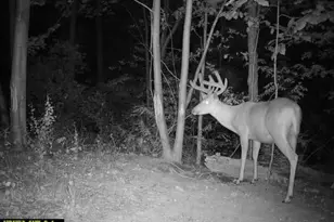 21881 Kale Rd, Sparta, WI 54656 - Photo 66