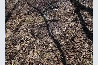 21881 Kale Road, Sparta, WI 54656 - Photo 38