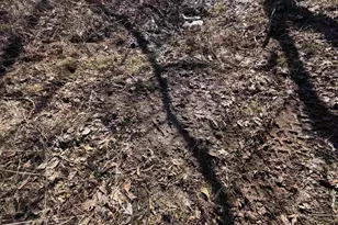 21881 Kale Rd, Sparta, WI 54656 - Photo 38