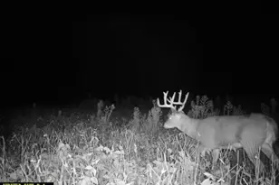 21881 Kale Rd, Sparta, WI 54656 - Photo 74