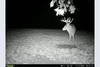 21881 Kale Road, Sparta, WI 54656 - Photo 70