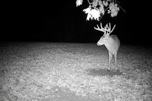 21881 Kale Rd, Sparta, WI 54656 - Photo 70