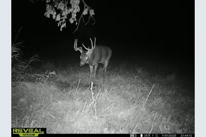 21881 Kale Road, Sparta, WI 54656 - Photo 78