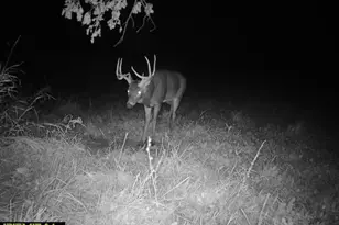 21881 Kale Rd, Sparta, WI 54656 - Photo 78