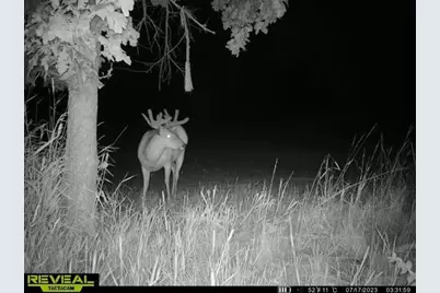 21881 Kale Road, Sparta, WI 54656 - Photo 72