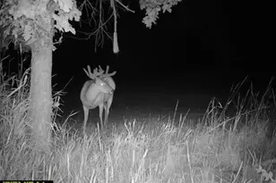 21881 Kale Rd, Sparta, WI 54656 - Photo 72