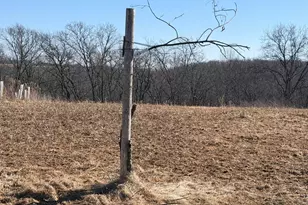 21881 Kale Rd, Sparta, WI 54656 - Photo 36