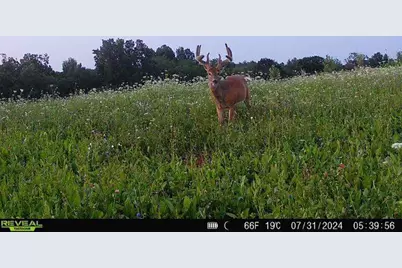 21881 Kale Road, Sparta, WI 54656 - Photo 82