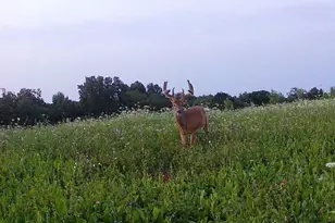 21881 Kale Rd, Sparta, WI 54656 - Photo 82