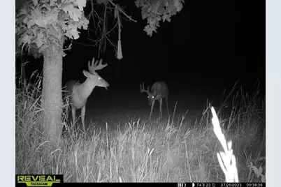 21881 Kale Road, Sparta, WI 54656 - Photo 68