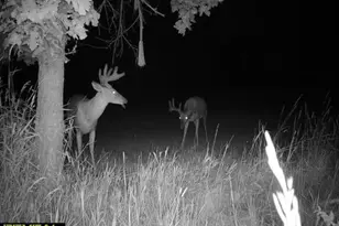 21881 Kale Rd, Sparta, WI 54656 - Photo 68