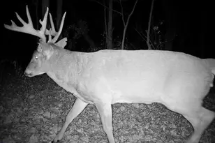 21881 Kale Rd, Sparta, WI 54656 - Photo 64