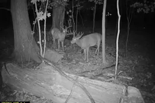 21881 Kale Rd, Sparta, WI 54656 - Photo 60