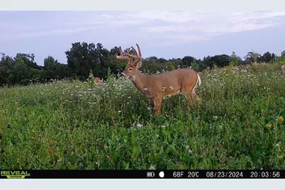 21881 Kale Road, Sparta, WI 54656 - Photo 80