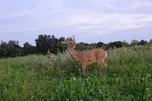 21881 Kale Rd, Sparta, WI 54656 - Photo 80