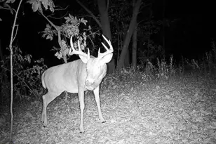 21881 Kale Rd, Sparta, WI 54656 - Photo 62