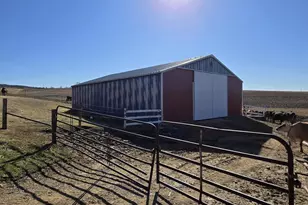 4239 Reeson Rd, Barneveld, WI 53597 - Photo 32