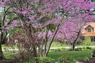 E10471 Pine Cir, Prairie Du Sac, WI 53578 - Photo 46