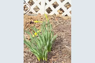 E10471 Pine Circle, Prairie Du Sac, WI 53578 - Photo 62