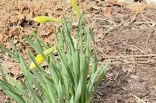 E10471 Pine Cir, Prairie Du Sac, WI 53578 - Photo 62