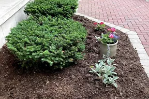 4521 Deerwood Dr, Madison, WI 53716 - Photo 12